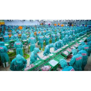 Công Ty Cổ Phần Tập Đoàn Sao Mai